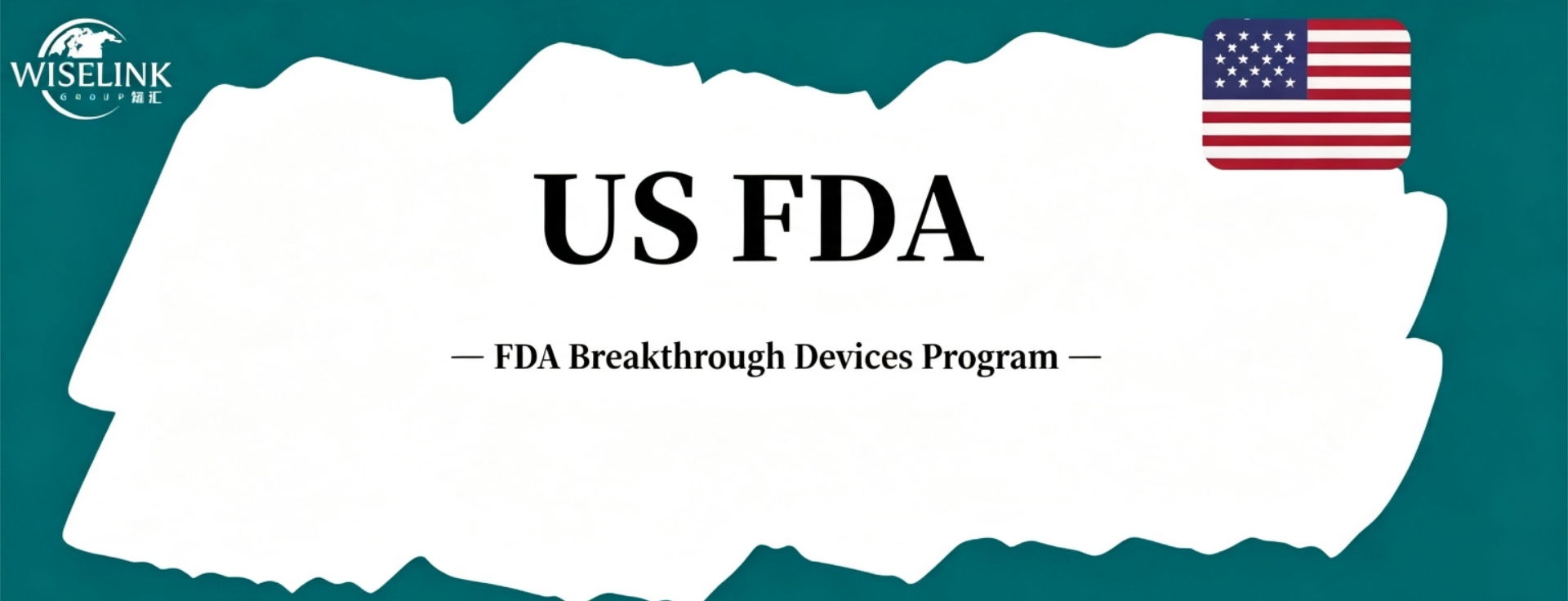 FDA Breakthrough Devices Program: The Golden Fast Track for Innovative Medical Devices Entering the U.S. Market